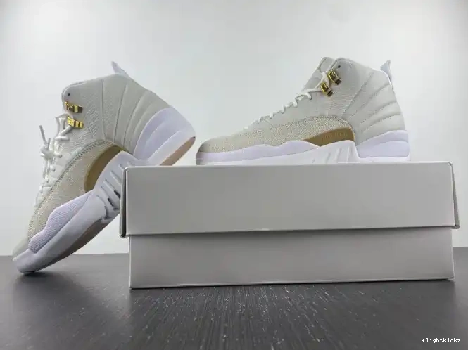 Retro White 873864-102 Jordan OVO 12 0614